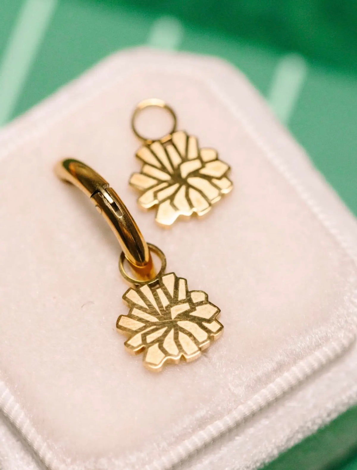 Pierced Co Earrings